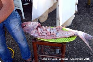 08 CABO DE GATA (22)